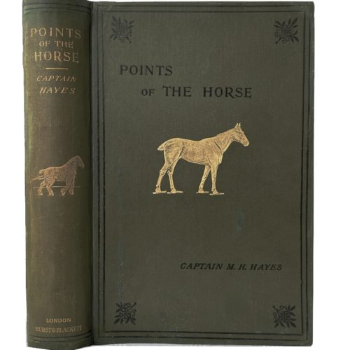 Хейс Х. Стати лошади, 1904 (на англ. яз)